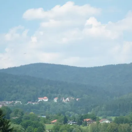Irene * Zwiesel