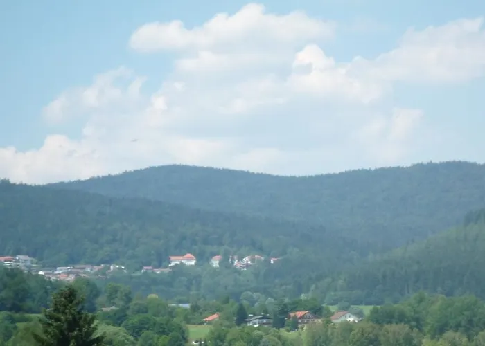 Irene * Zwiesel
